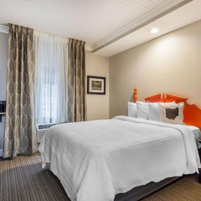 Standard King Room The Aurora Inn Promo Code