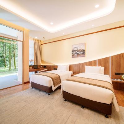 豪華公園景雙床房 脈搏大飯店優惠