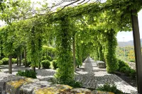 INATEL Linhares da Beira Hotel Rural Hotels in 