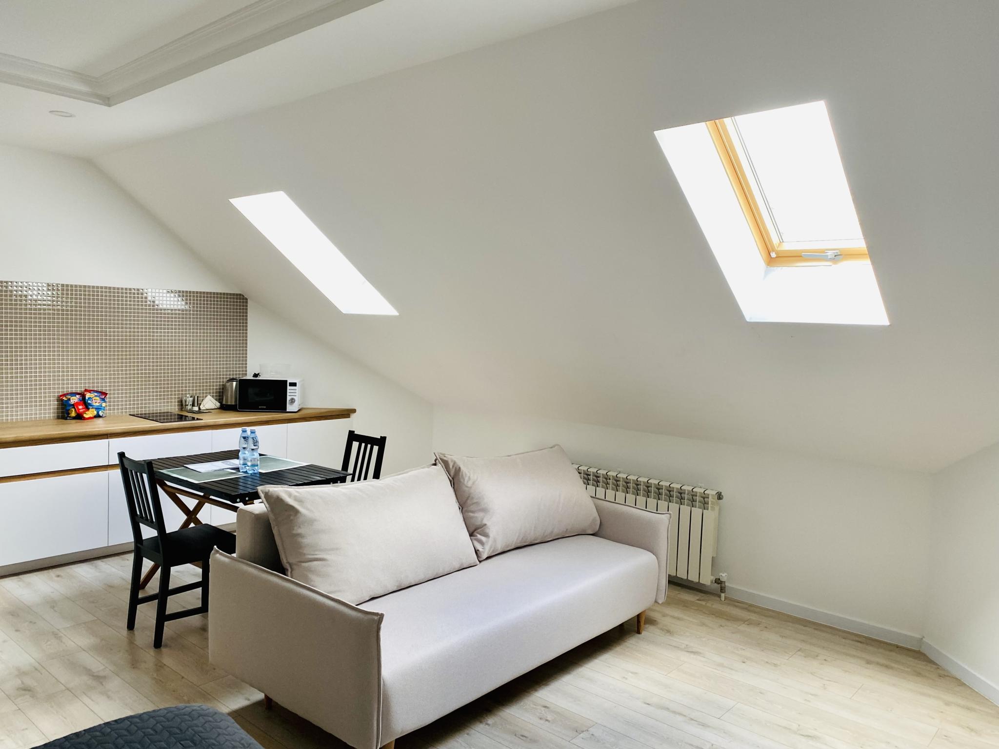 标准1室公寓阁楼