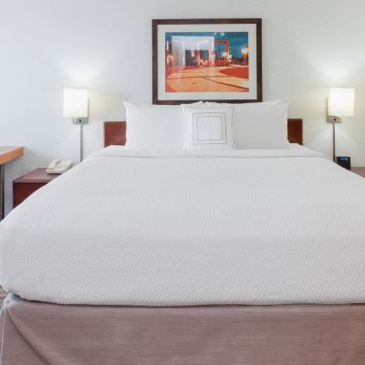 Executive King Suite with Sofa Bed SpringHill Suites Minneapolis West St. Louis Park Promo Code