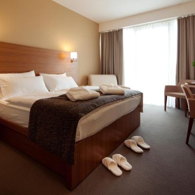 Deluxe Double or Twin Room with Balcony and Aquapark Included Bohinj Eco Hotel Promo Code
