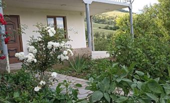 AMOJ B&B and Guest house - Housity