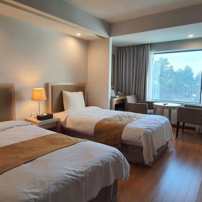 트윈룸 경포 비치호텔 쿠폰