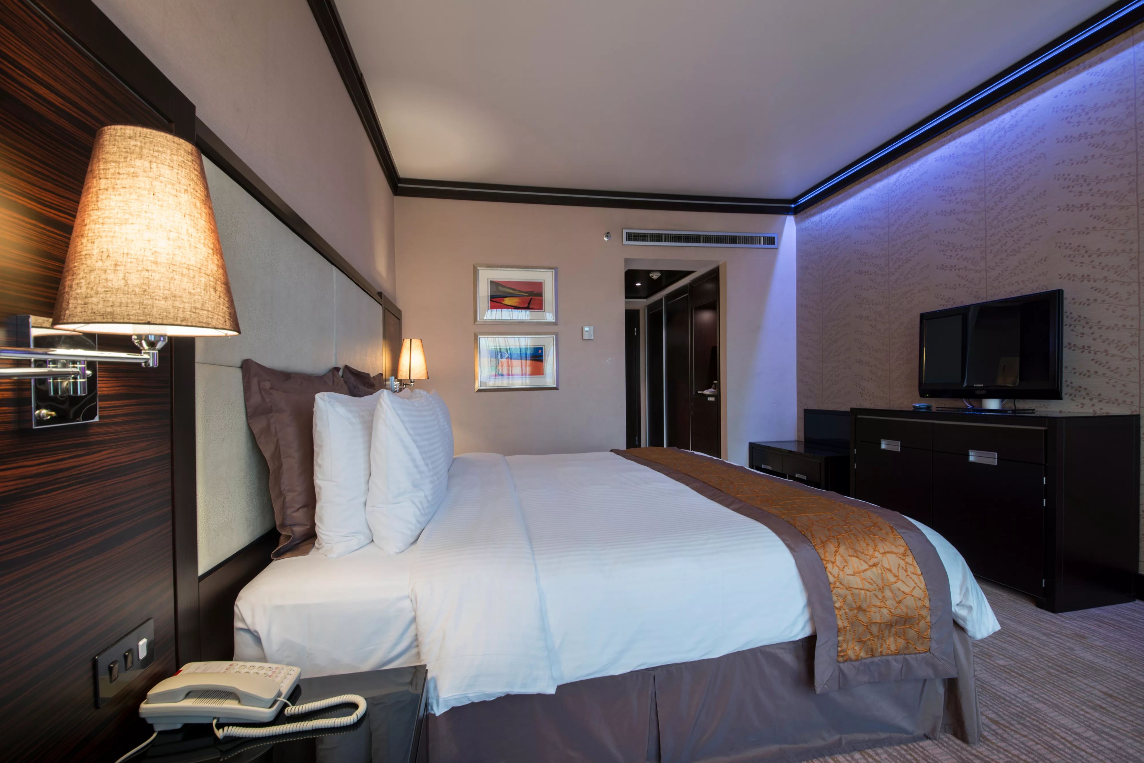 无障碍标准大床房