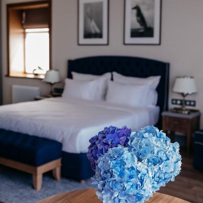 VIP Suite Golden Ring Promo Code