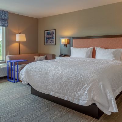 Room, 1 King Bed, Accessible (Hearing) Hampton Inn Bourbonnais Kankakee, IL Promo Code