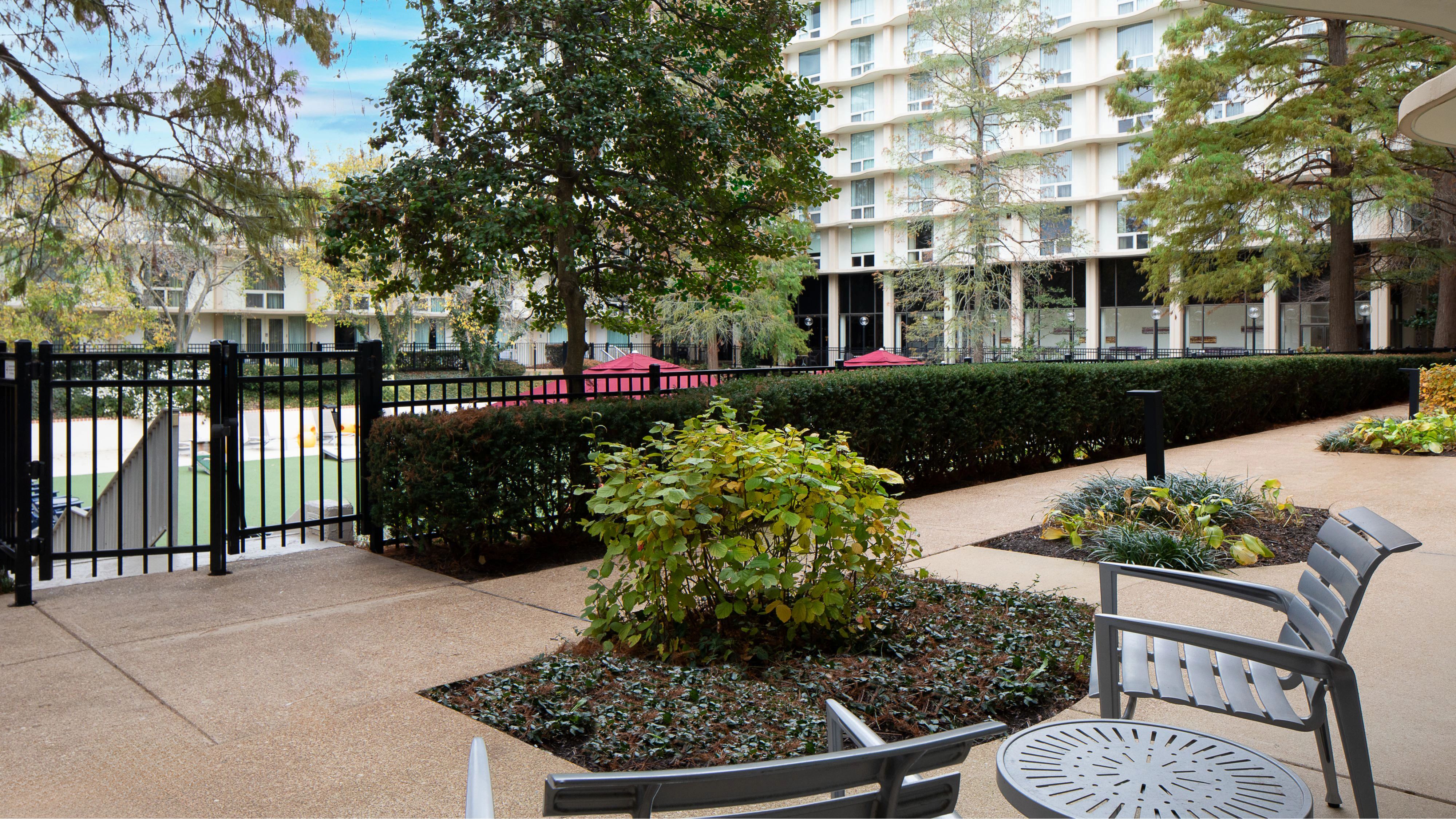 庭院通道，客房，1张特大床，西塔