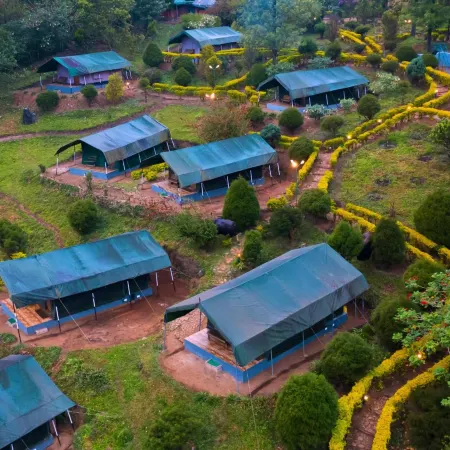 Nature Zone Munnar - A Real Jungle Resort - Authentic Tree House and Premium Tents