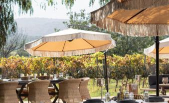 Hotel Casa de Quino - Housity