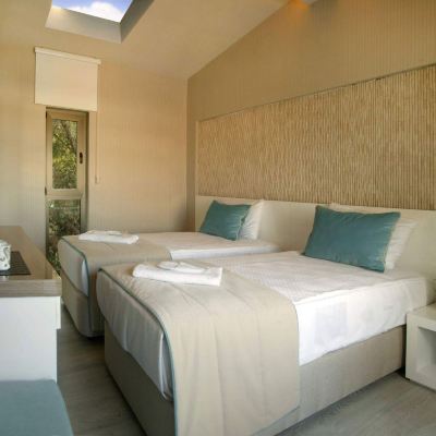 Economy Standard Room The D hotel Promo Code