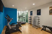 Ibis Sharq
