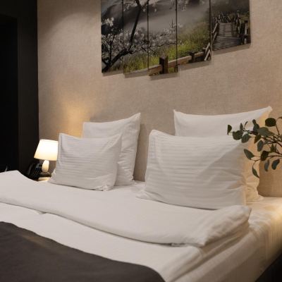 Standard Double Or Twin Room With Kitchen Z hotel Promo Code