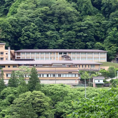 Gokasanso