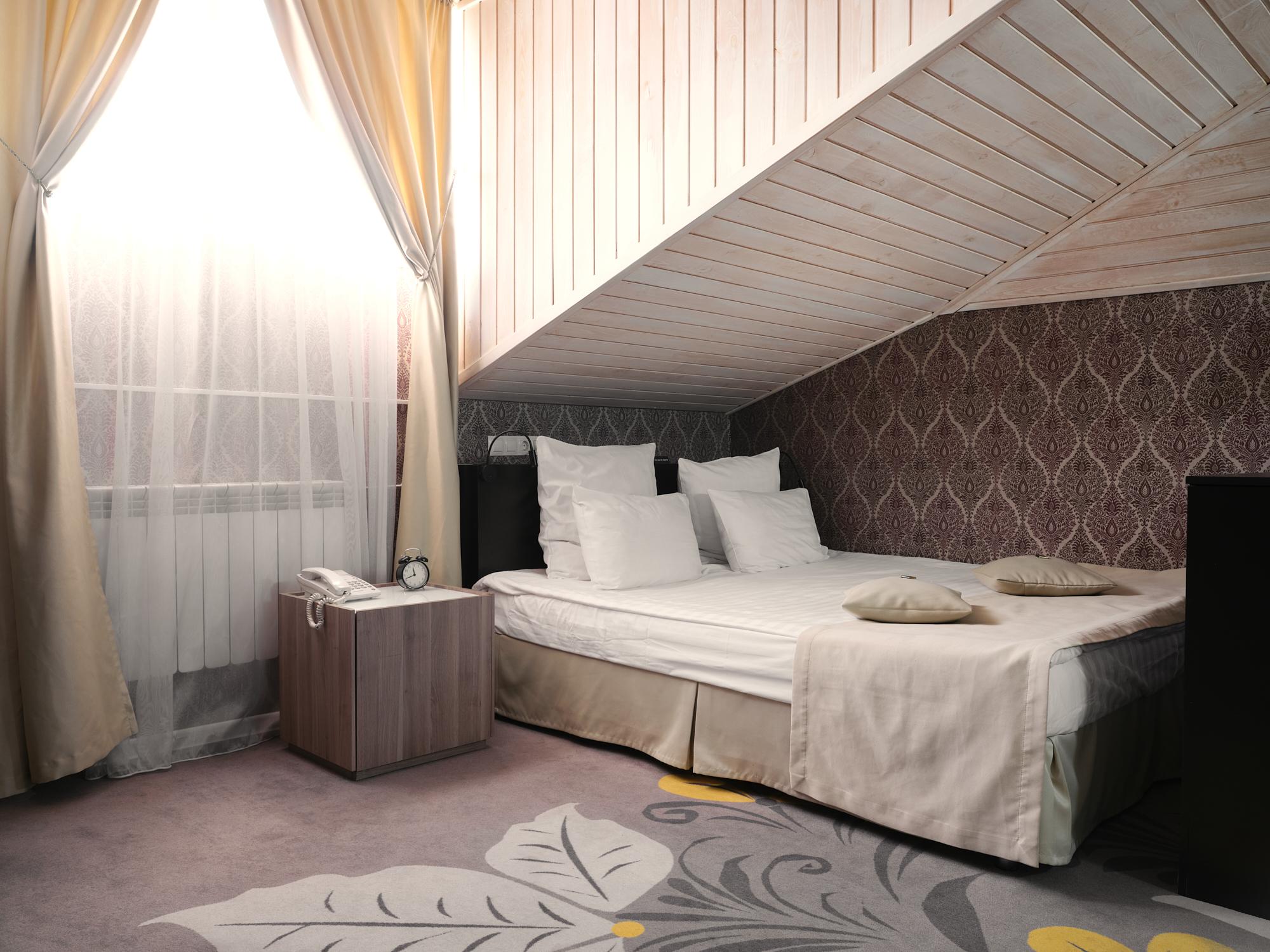 初級套房帶1張雙人床（閣樓）