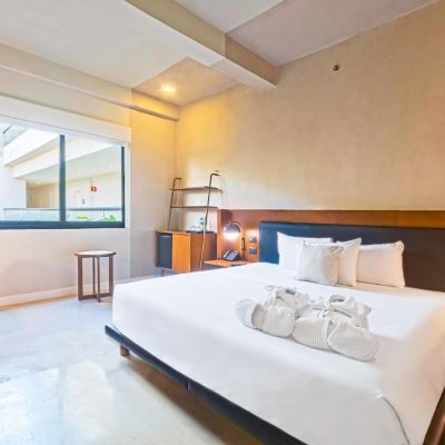 Suite Superior King MEX Hoteles Promo Code