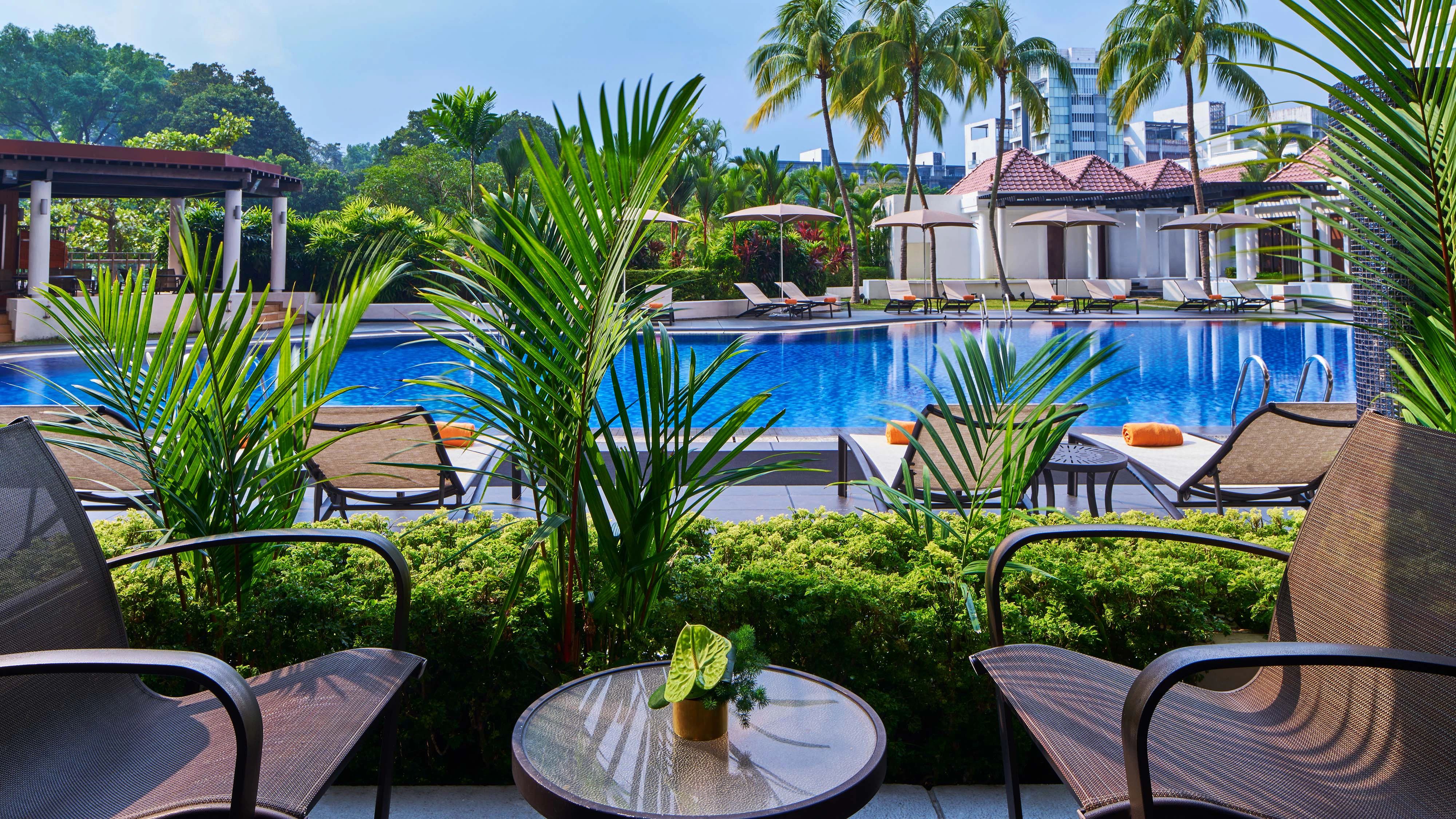 泳池厅, 行政酒廊礼遇, 客房, 1 张特大床, 池畔