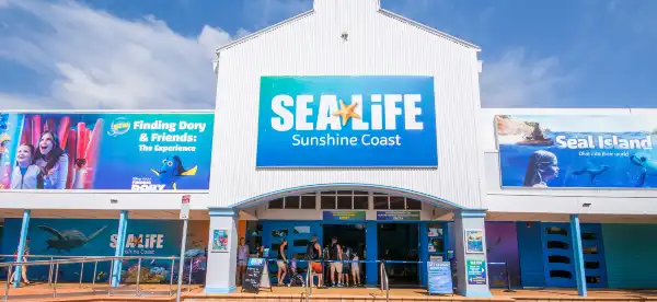 Hotels in Mooloolaba