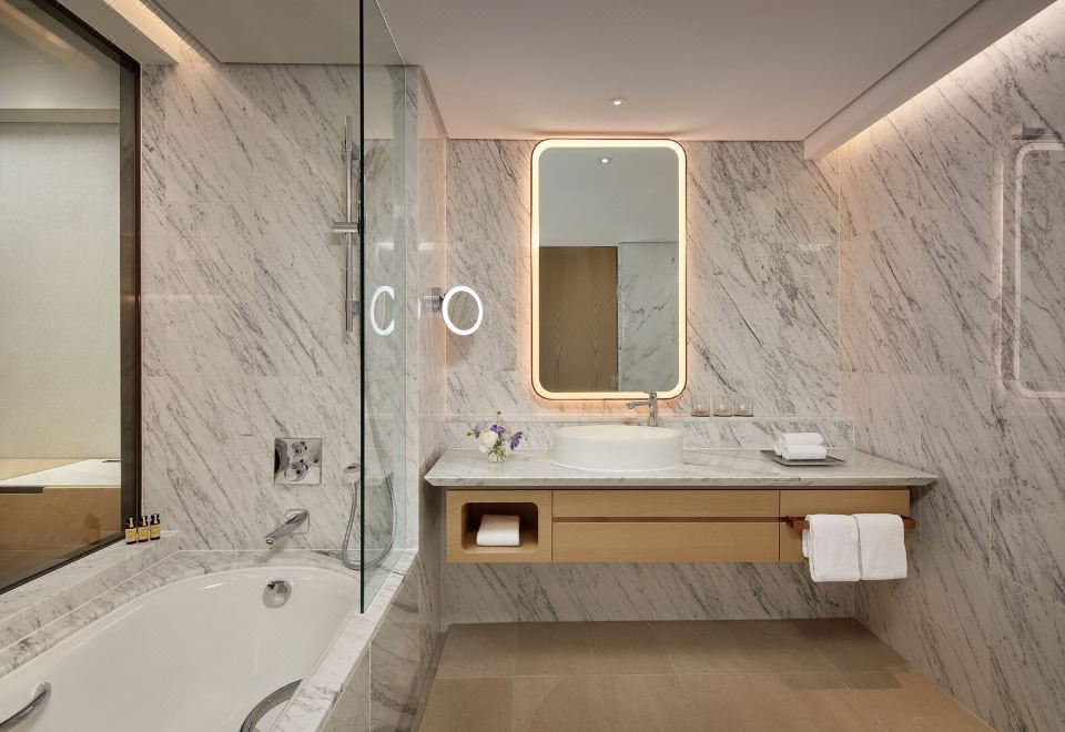 Lotte Hotel World GangnamKakao Friends Family Twin(City View)