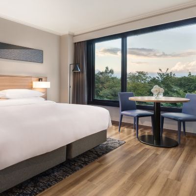 スーペリア温泉キングルーム、客室、キング1台、マウンテンビュー 伊豆マリオットホテル修善寺 クーポン