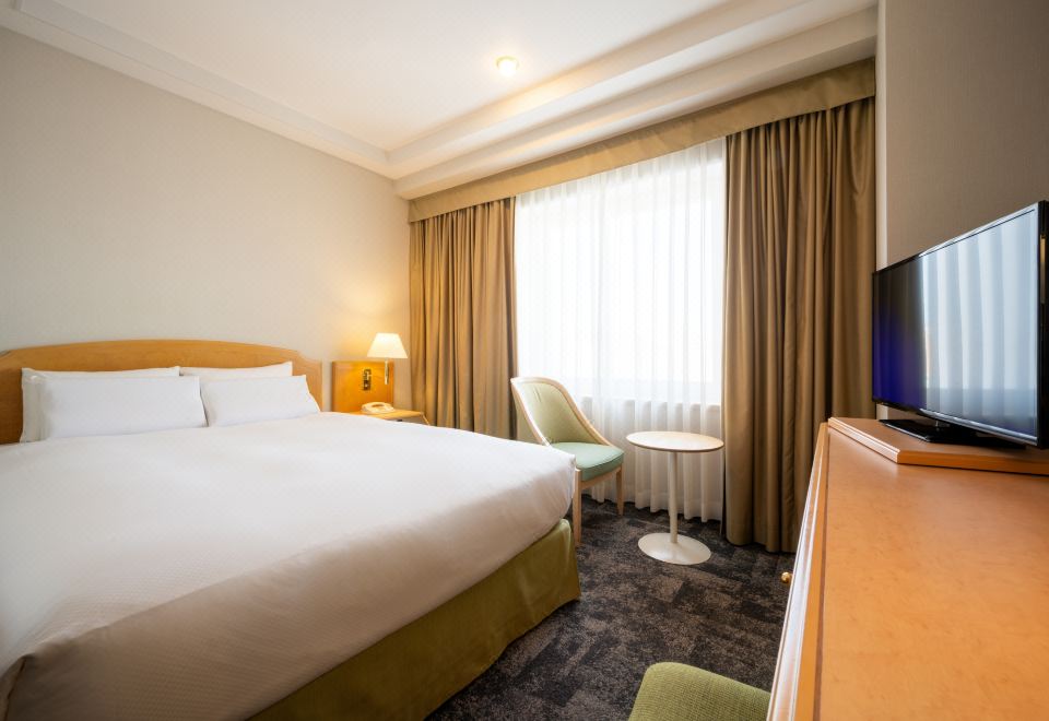 豪华小型双人床房 禁烟