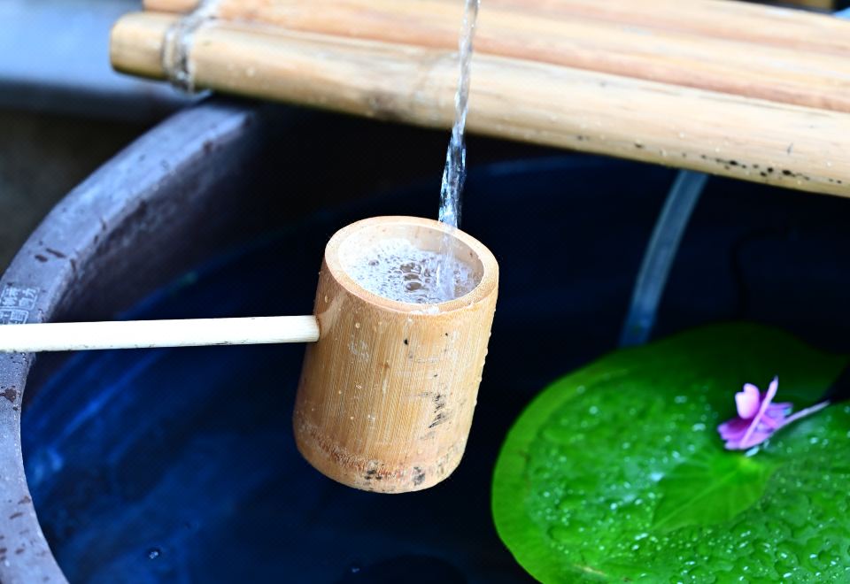 四季漫寻小院|温馨花园|赏夜景如画