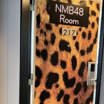 NMB48 Team BⅡ合作房間 關西機場天然溫泉海茵娜飯店優惠