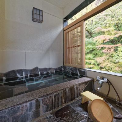 展望風呂付和室（禁煙） 箱根一の湯　塔ノ沢本館 クーポン