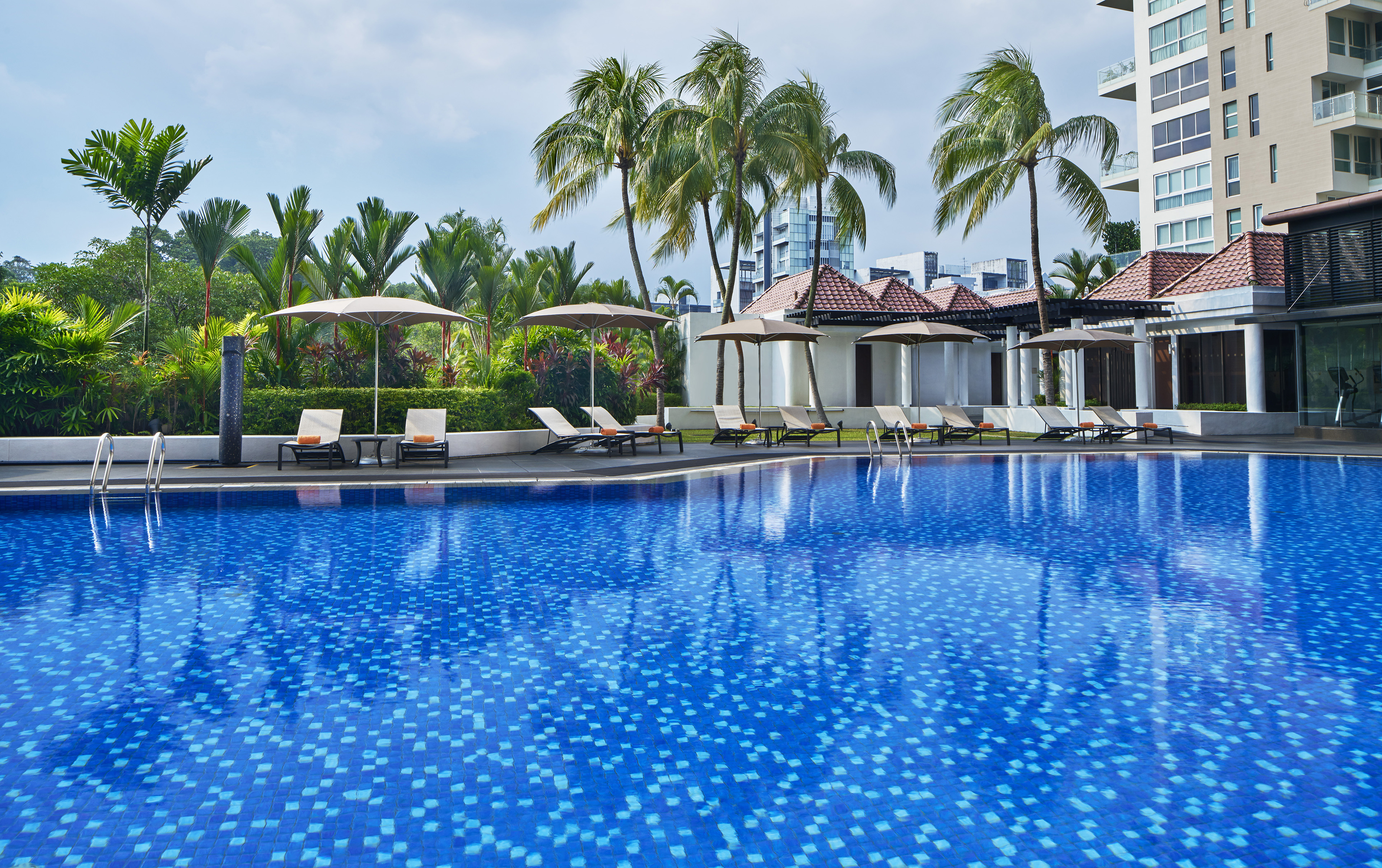 豪华双床房, 客房, 2 张单人床