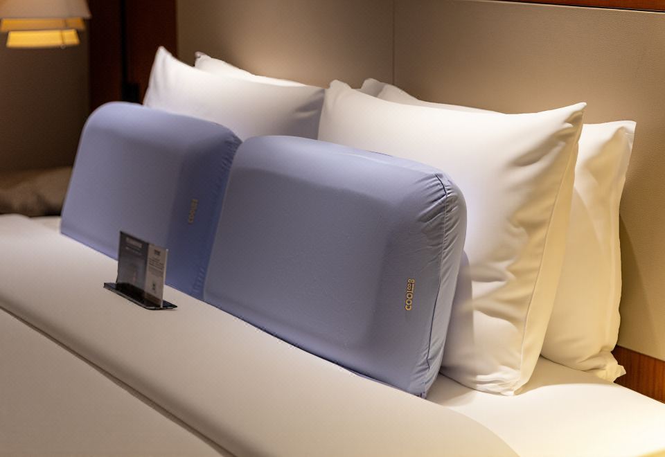 SLEEP深睡时刻大床房/配COOL008双面柔睡枕