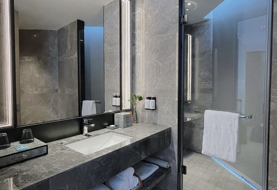 豪华大床房（美国进口MATRIX健身拉力架）