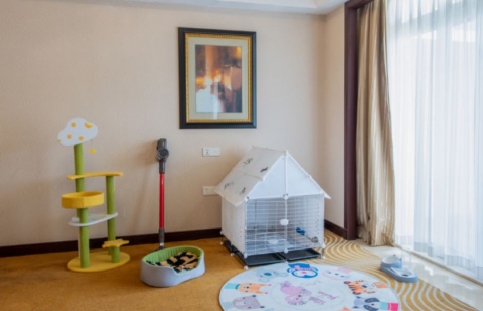 ChaoHu Country Garden Phoenix HotelGarden View Pet-Friendly Double Room
