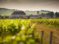 Au Petit Saint Jean Hotels in Beaune