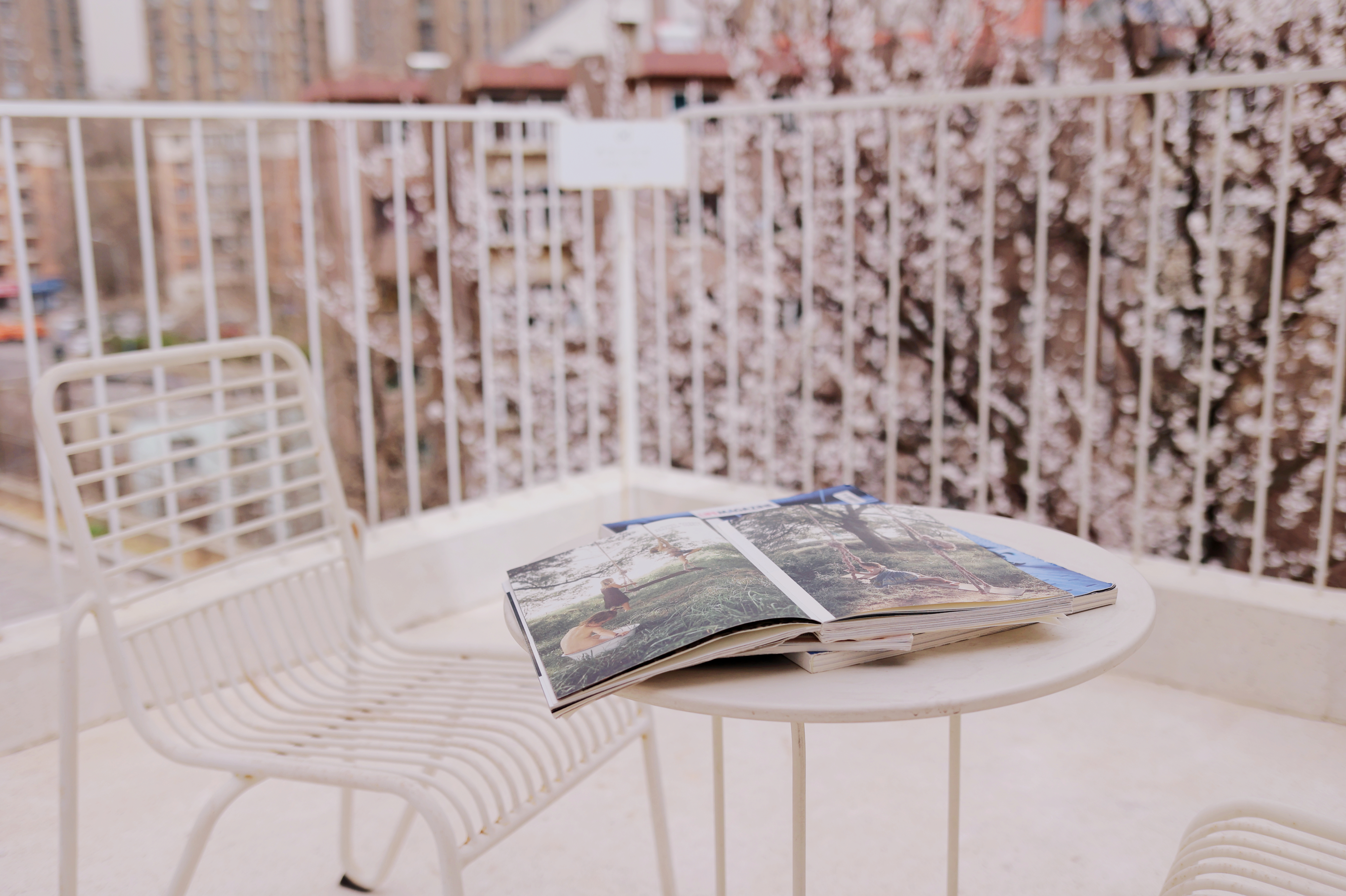 雪松｜「私享露台·超大出片cafe空间」