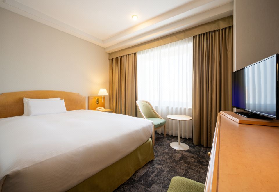 豪华单人间 禁烟