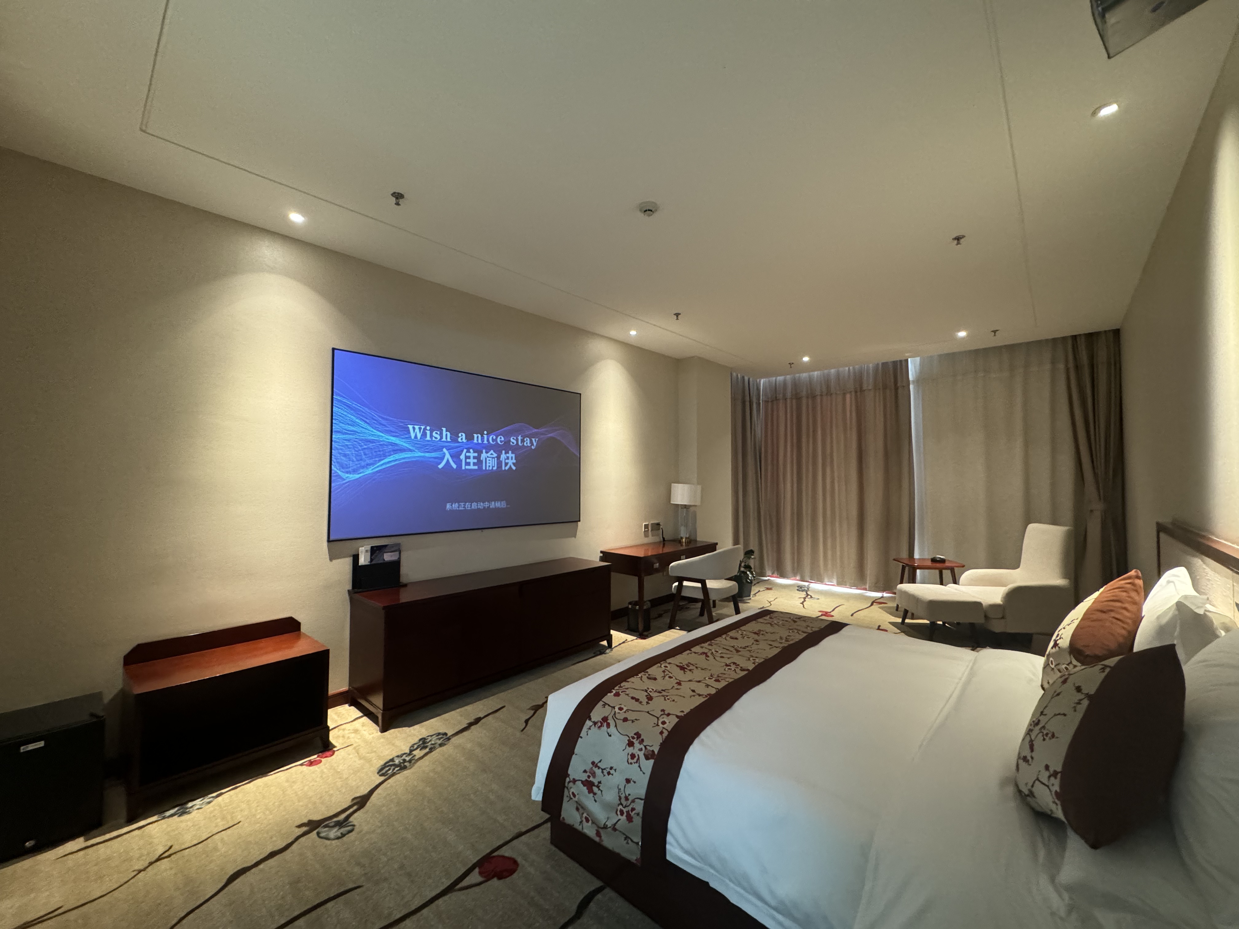 极智畅享影音大床房