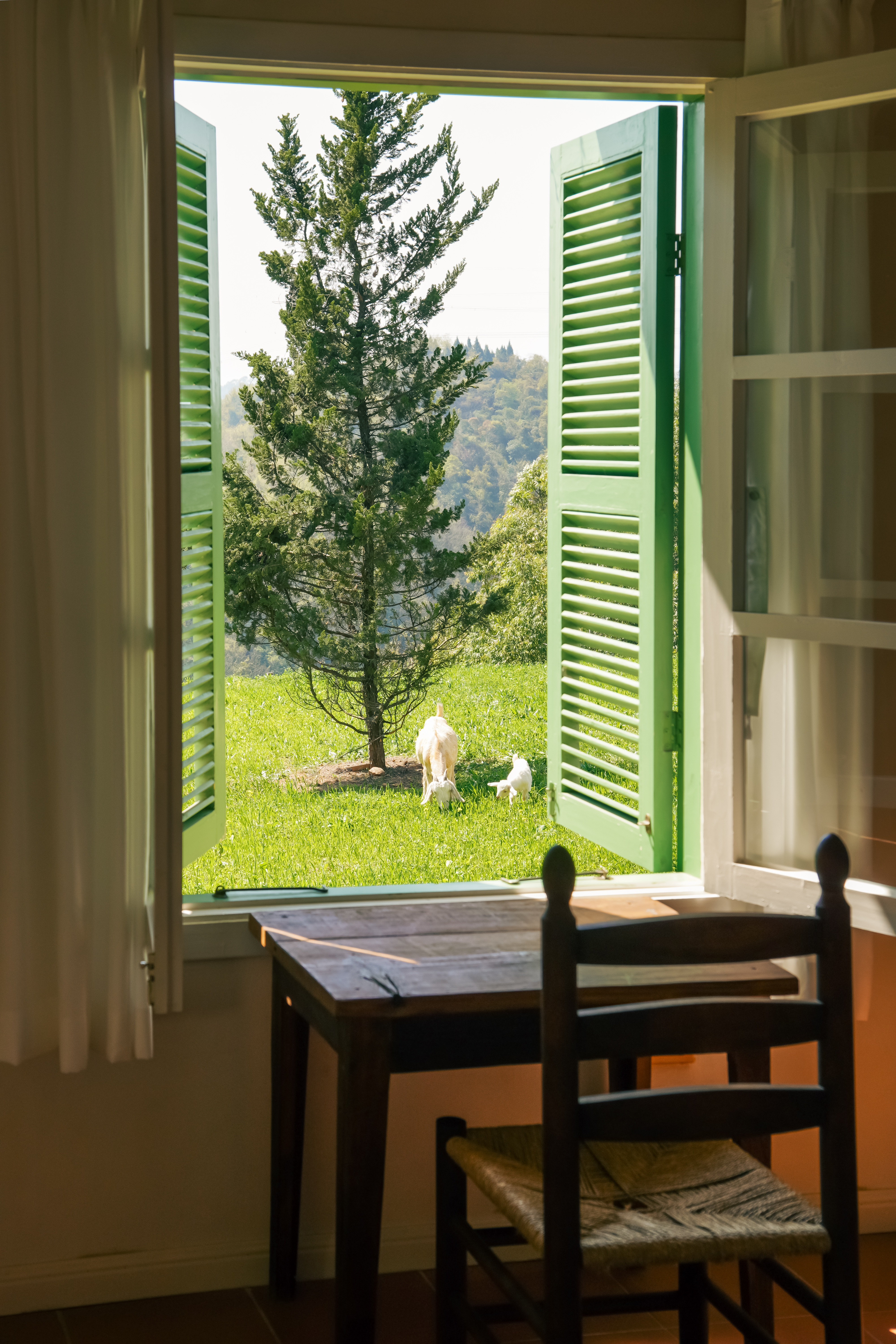 梵高的丝柏树·家庭双卧套房