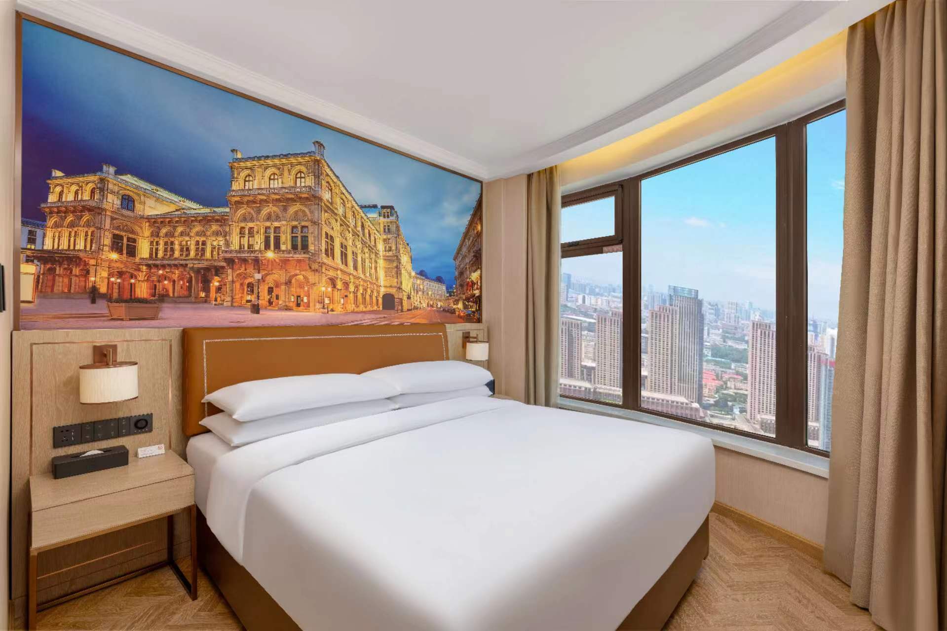 高级大床房（智能客控）