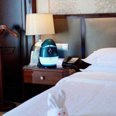 森林氧吧大床房 瀋陽新都綠城喜來登酒店優惠