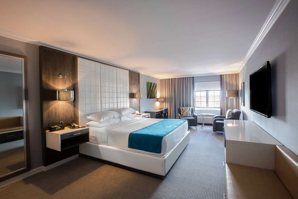 Westminster Hotel豪华房（特大床，现代设计）