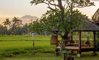 Arya Villas Ubud