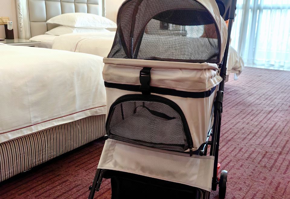 萌寵友好湖景房