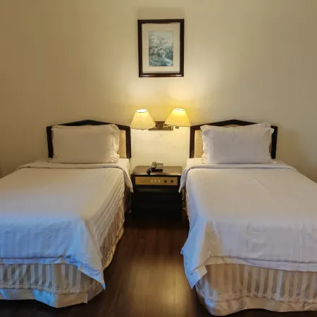 The Putra Regency Hotel Отели в г. Перлис