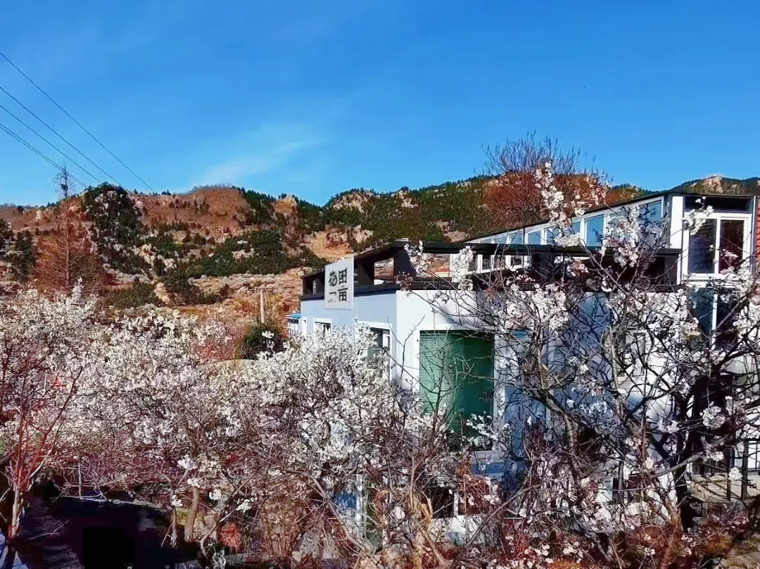 Qingdao Laoshan Huatianyimu Homestay - 青島市