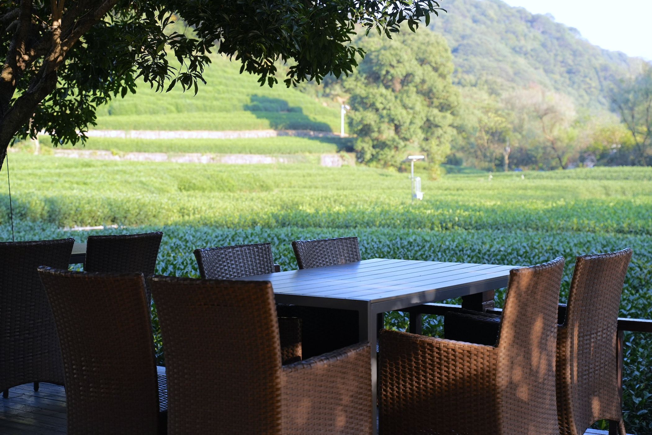 【独栋】茶园山景无敌视野七室三厅包楼