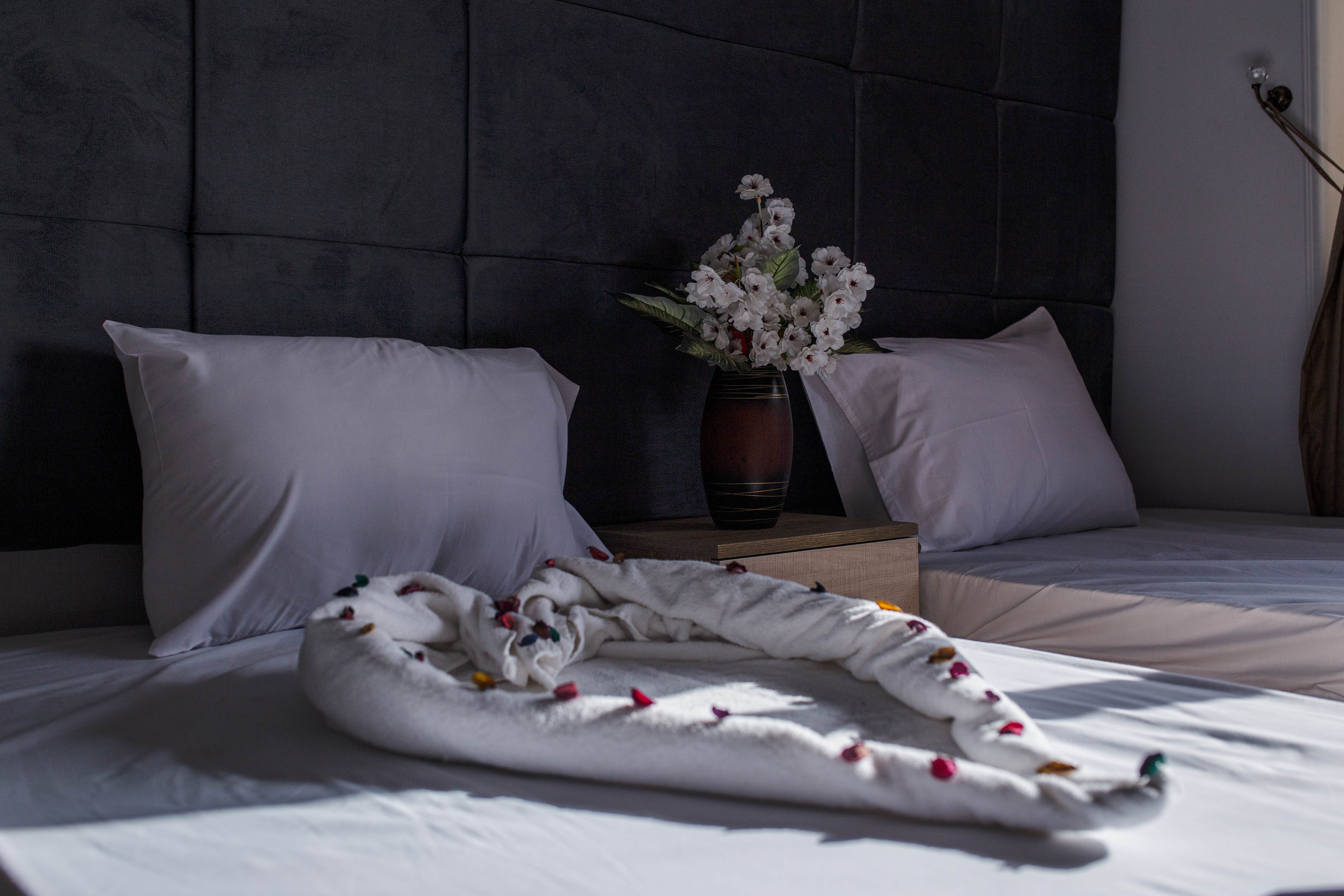 金字塔景豪华双人间