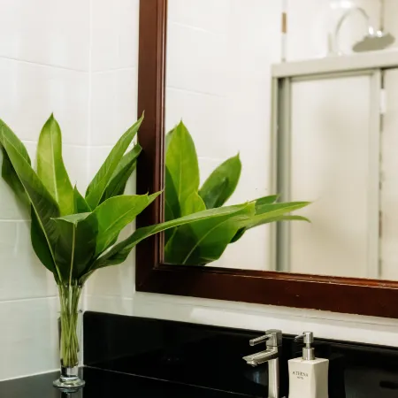 Athena Hotel Отели в г. Паксе