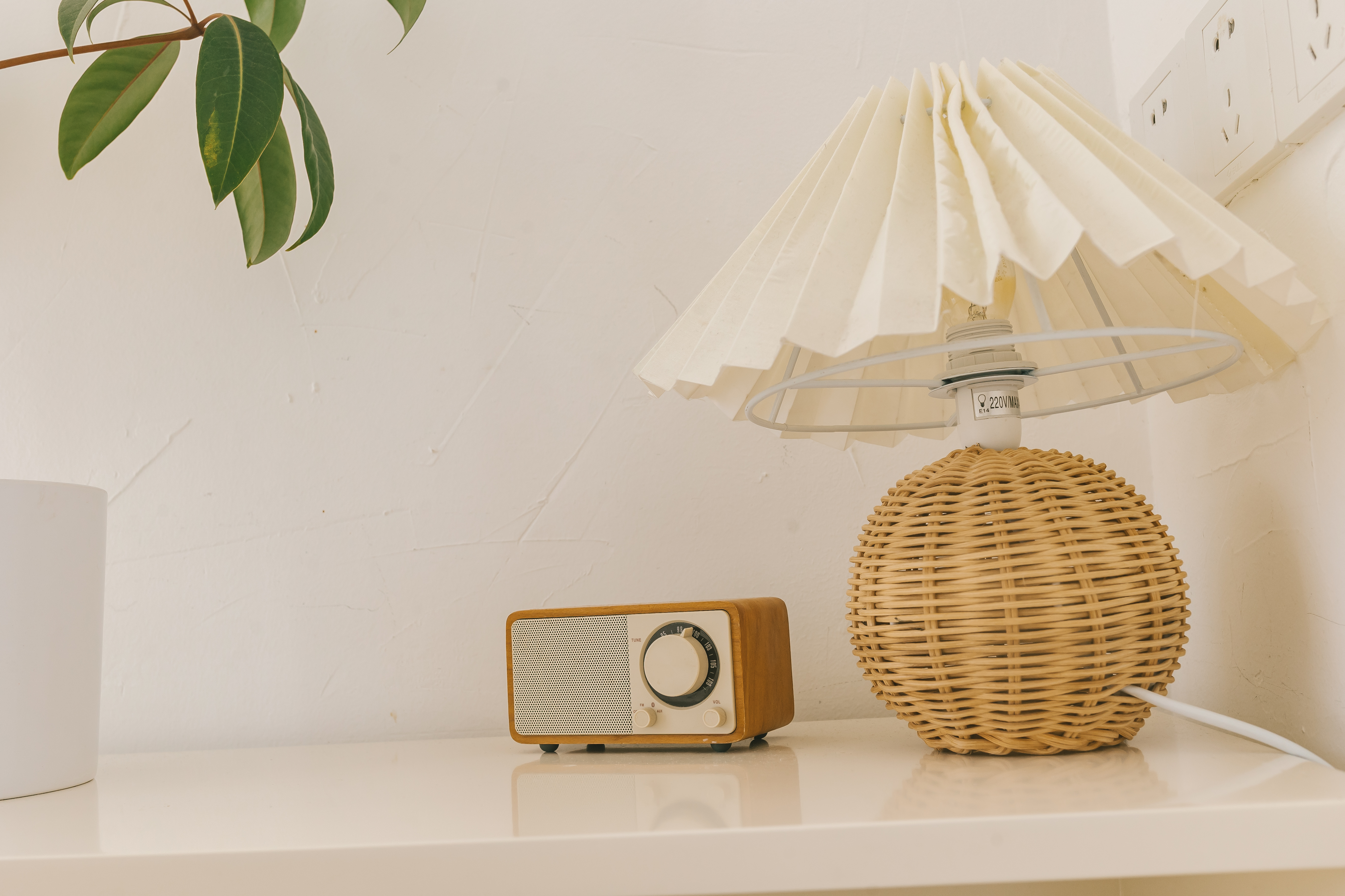 木棉｜「270度落地窗·超大治癒拍照cafe空间」