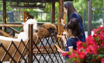 A woman and child are feeding animals at an animal park while other people watch at VOYAGE INTERNATIONAL HOTEL