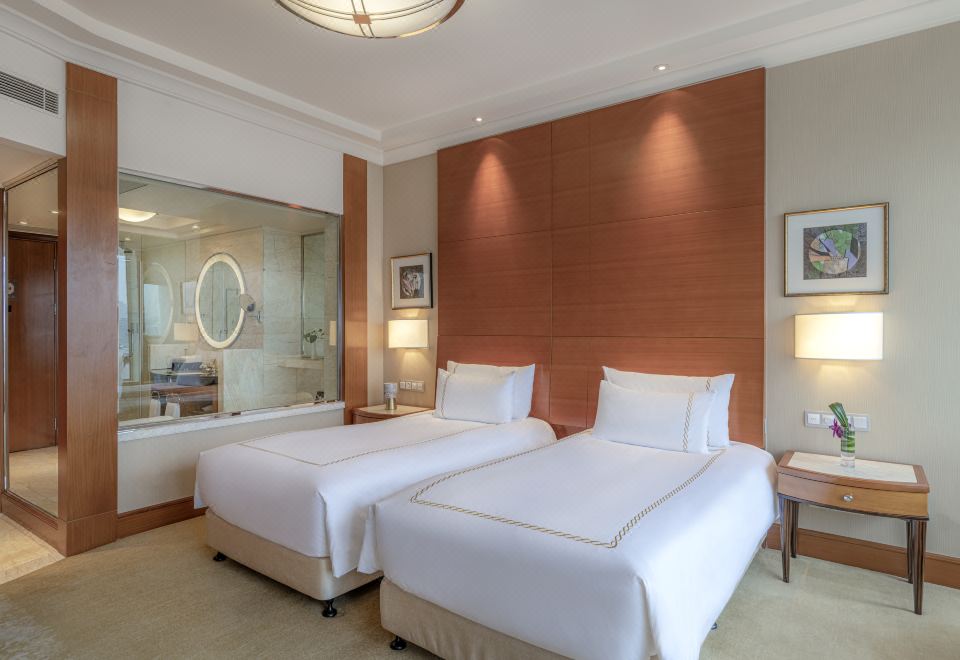 豪华城景双床房